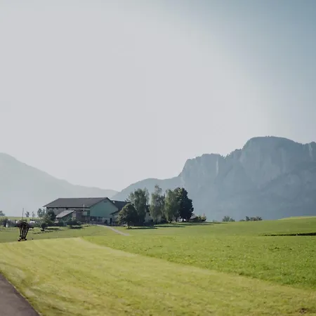 Hinterstrasser *